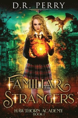D R Perry - Familiar Strangers, Häftad