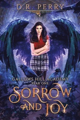 D R Perry - Sorrow and Joy, Häftad