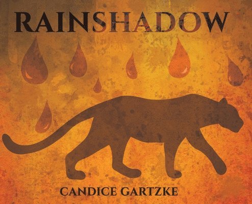 RainShadow 1