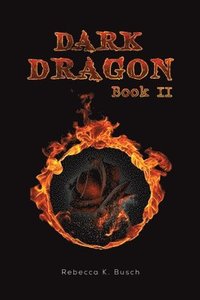 bokomslag Dark Dragon