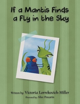 If a Mantis Finds a Fly in the Sky 1