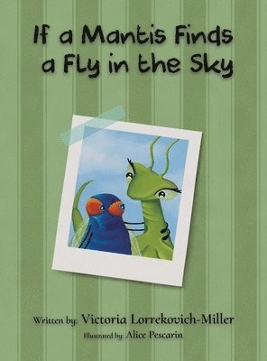 If a Mantis Finds a Fly in the Sky 1