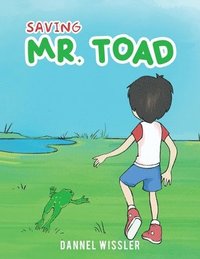 bokomslag Saving Mr Toad