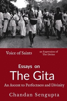 Essays on Gita
