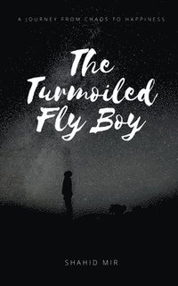 bokomslag Turmoiled Fly Boy