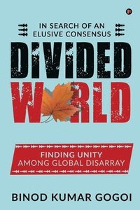bokomslag Divided World: In Search of an Elusive Consensus