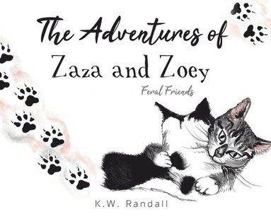 bokomslag Adventures of Zaza and Zoey