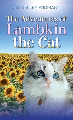 bokomslag Adventures of Lambkin the Cat
