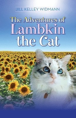 bokomslag Adventures of Lambkin the Cat