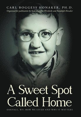 bokomslag Sweet Spot Called Home
