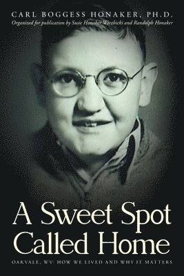 bokomslag Sweet Spot Called Home