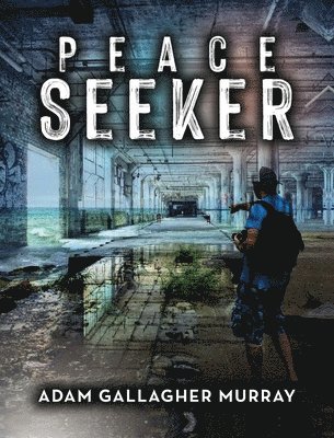 bokomslag Peace Seeker
