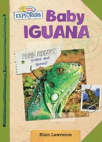 bokomslag Baby Iguana