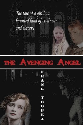 bokomslag Avenging Angel