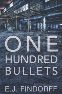 bokomslag One Hundred Bullets