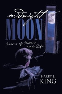 bokomslag Midnight Moon