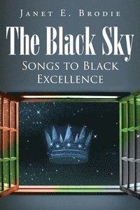 bokomslag The Black Sky