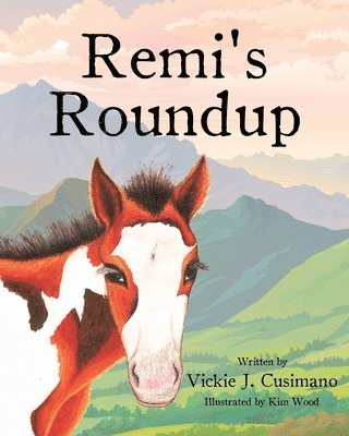 bokomslag Remi's Roundup