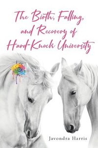 bokomslag The Birth, Falling, and Recovery of Hard-Knock University