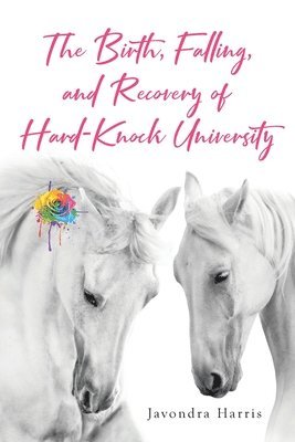 bokomslag Birth, Falling, and Recovery of Hard-Knock University