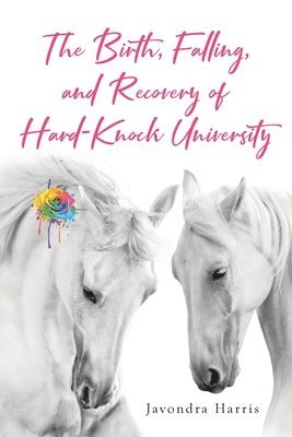 bokomslag The Birth, Falling, and Recovery of Hard-Knock University