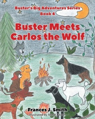 bokomslag Buster Meets Carlos the Wolf