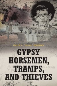 bokomslag Gypsy Horsemen, Tramps, and Thieves