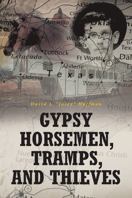 bokomslag Gypsy Horsemen, Tramps, and Thieves