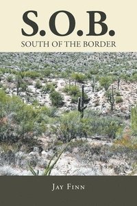 bokomslag South of the Border