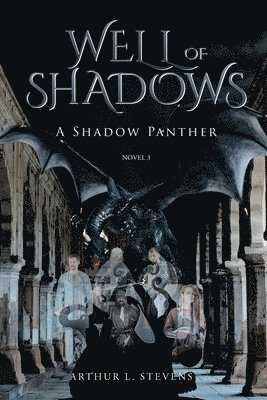 bokomslag Well of Shadows