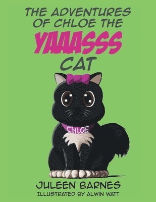 The Adventures of Chloe the YAAASSS Cat 1