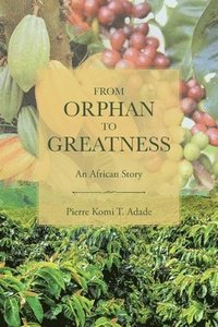 bokomslag From Orphan to Greatness