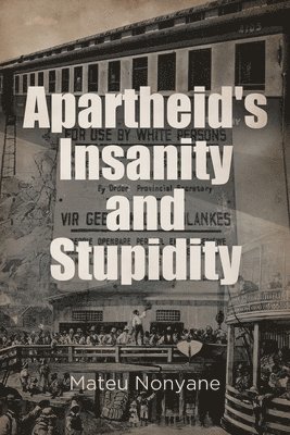 bokomslag Apartheid's Insanity and Stupidity