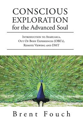 Conscious Exploration for the Advanced Soul 1