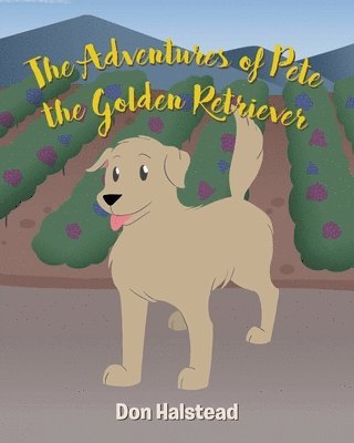 bokomslag Adventures of Pete the Golden Retriever
