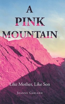 bokomslag Pink Mountain