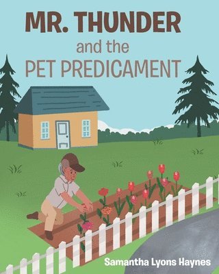 Mr. Thunder and the Pet Predicament 1