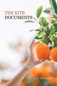 bokomslag The Kite Documents