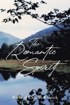 bokomslag Romantic Spirit