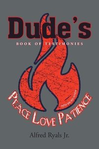 bokomslag Dude's Book of Testimonies
