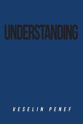 bokomslag Understanding