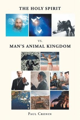 bokomslag The Holy Spirit VS. Man's Animal Kingdom