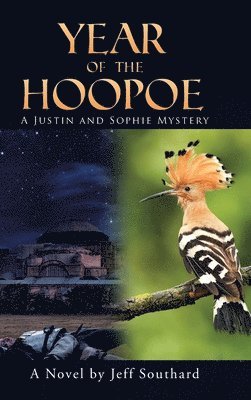 bokomslag Year of the Hoopoe