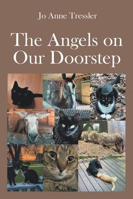 bokomslag Angels on Our Doorstep
