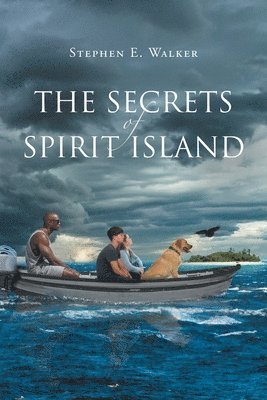bokomslag Secrets of Spirit Island