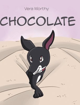 Chocolate 1