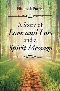 bokomslag Story of Love, Loss, and a Spirit Message