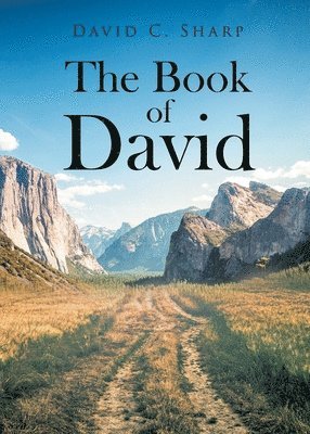 bokomslag The Book of David