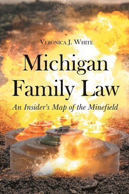 bokomslag Michigan Family Law