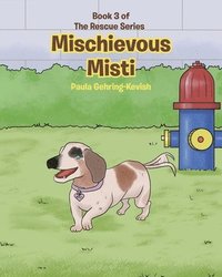 bokomslag Mischievous Misti